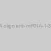 AXMIR-1 RNA oligo anti-miRNA-1-3p with Xmotif